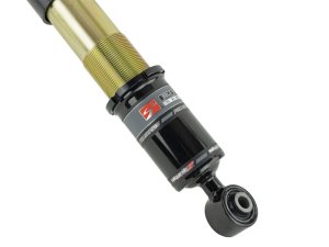 Honda Civic Si Coilover Suspension Kit - Front + Rear - Skunk2 Racing - Pro-ST Coilovers - Gold - `06-`11